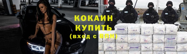 ешки Тайга