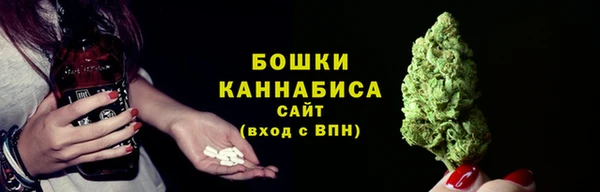 ешки Тайга