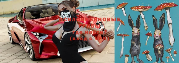 тгк Богородицк