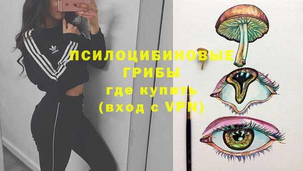тгк Богородицк
